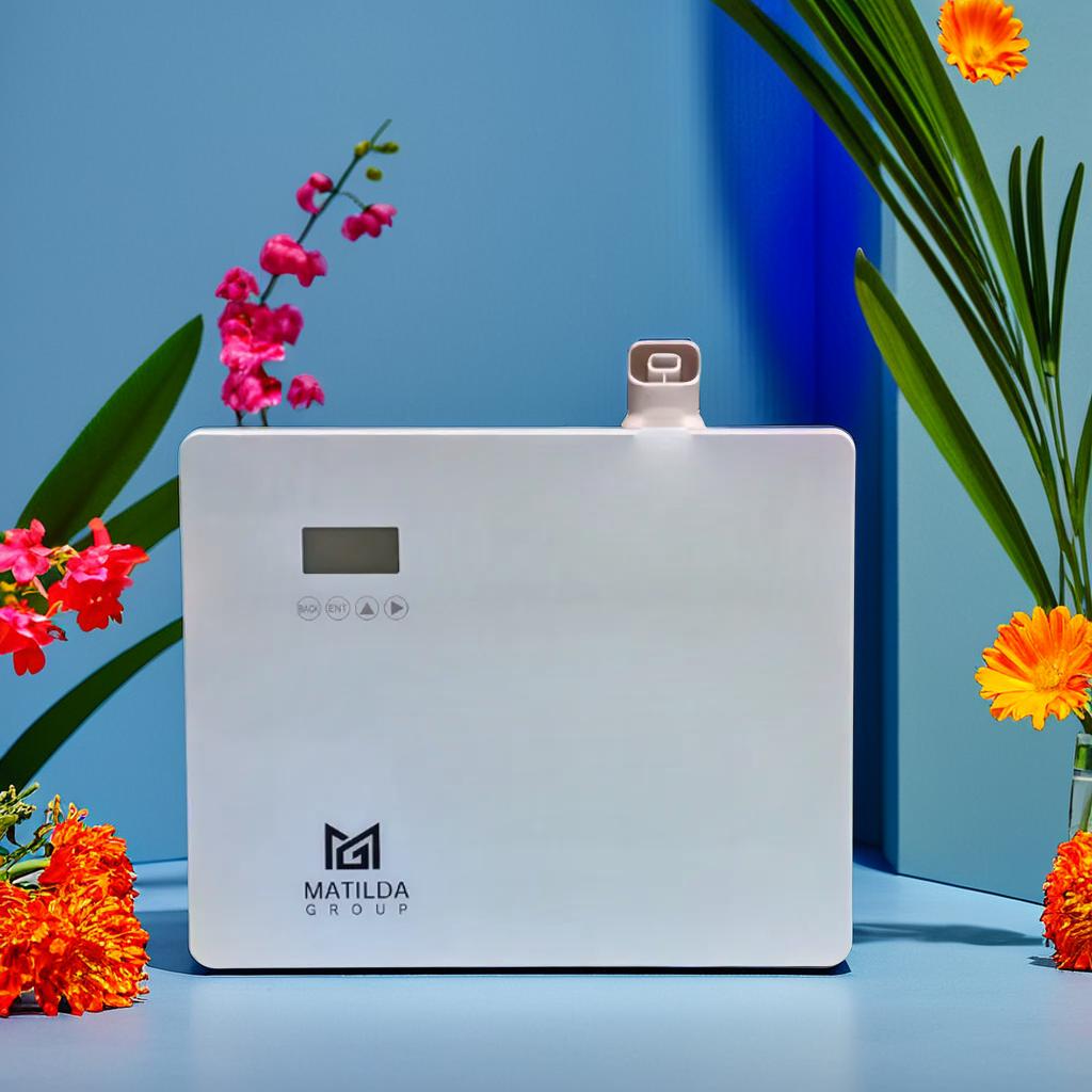 Matilda Scents - Diffuser 084